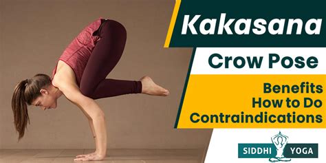 navelcrow|Kakasana or Crow Pose: Benefits & How to Do.